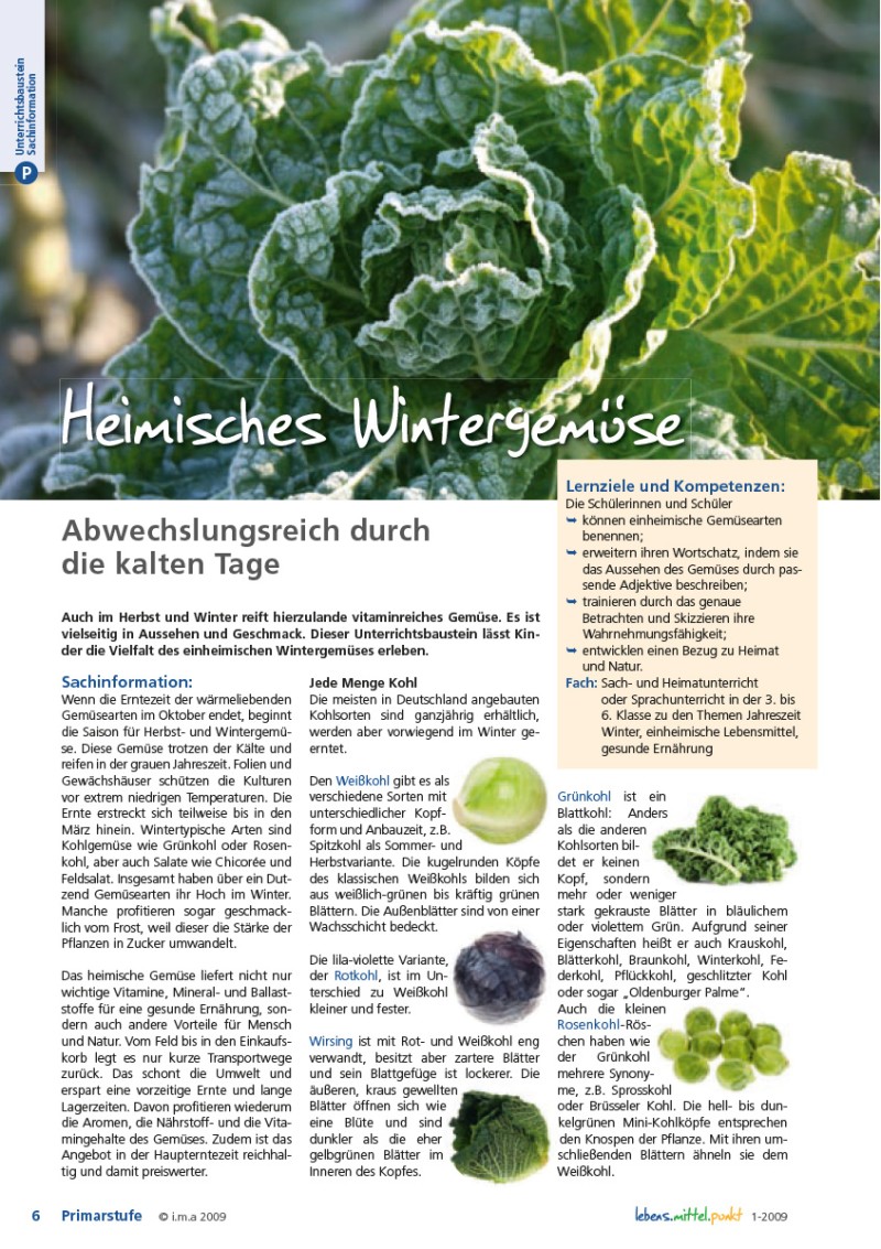 Heimisches Wintergemüse