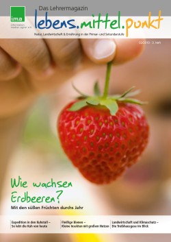 lebens.mittel.punkt Nr. 3